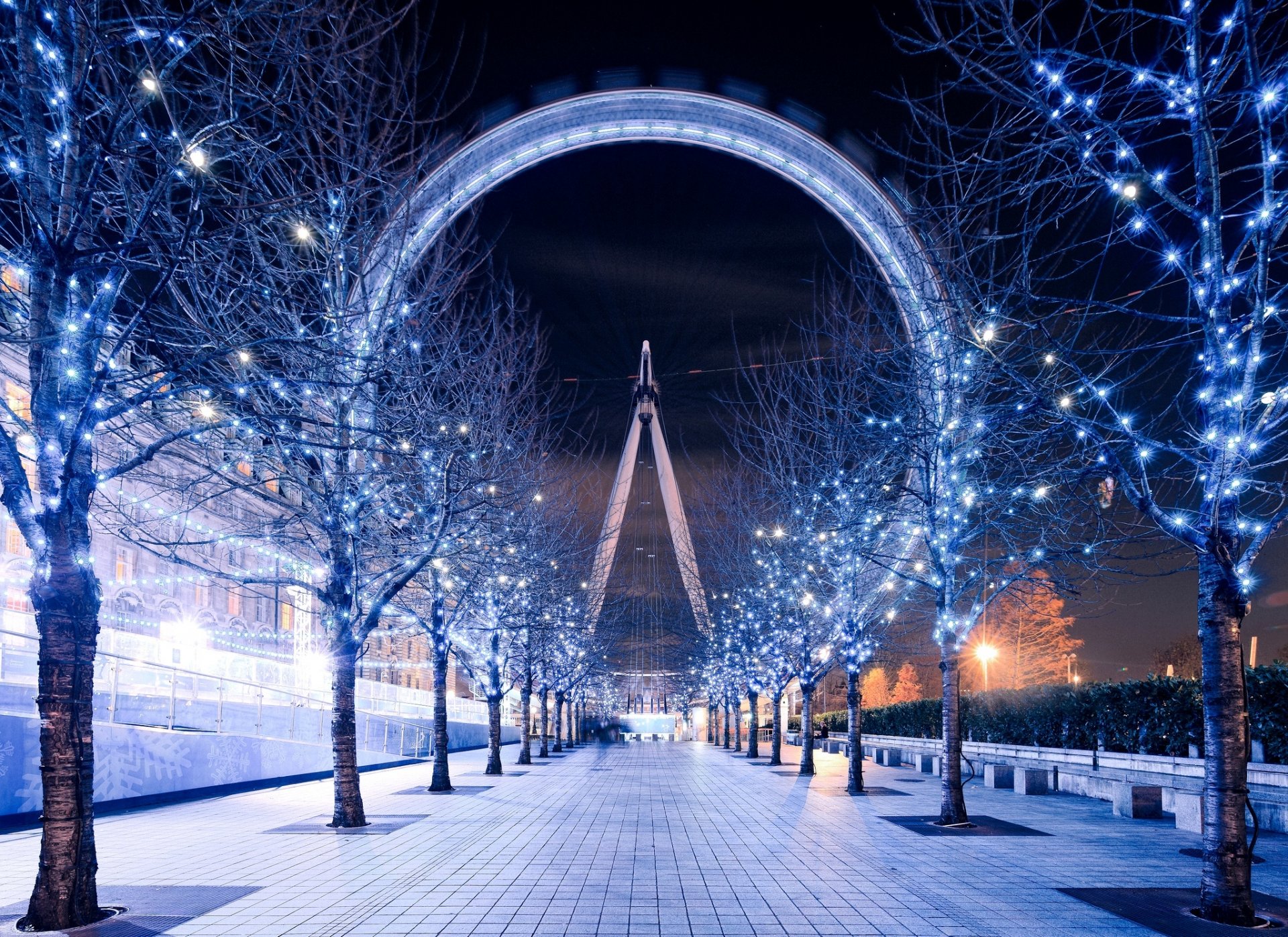 london eye london eye london england großbritannien riesenrad abend nacht beleuchtung gehweg bäume girlande