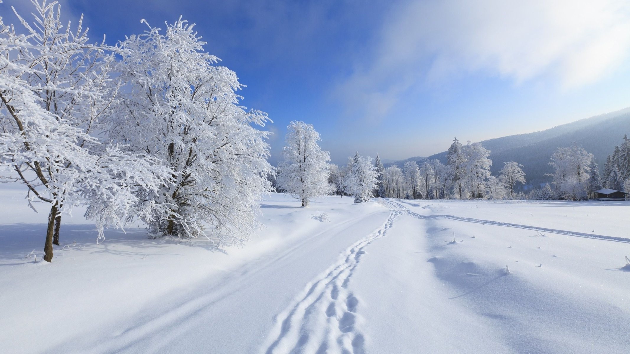 arbres givre hiver neige montagnes paysage nuages ciel