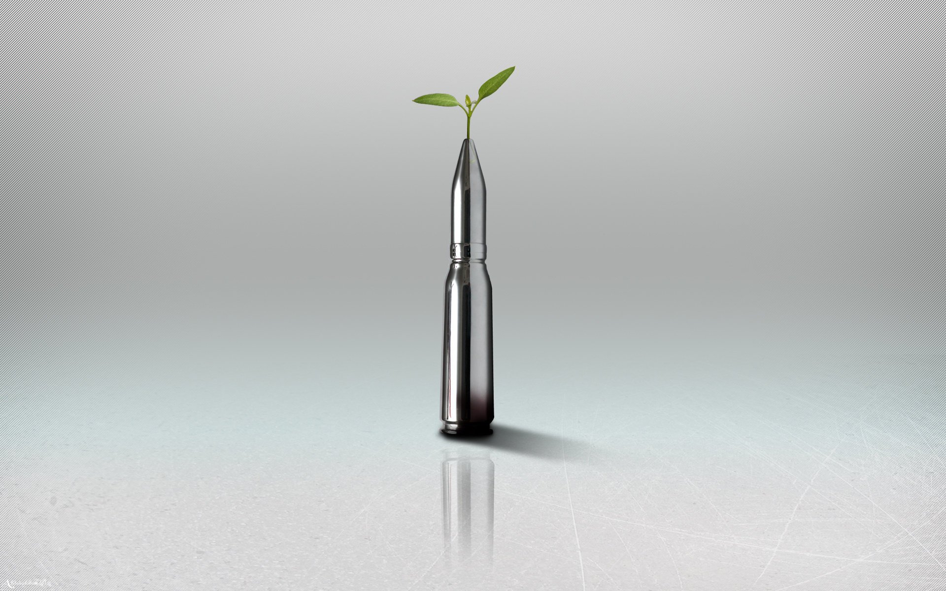 plant bullet minimalism