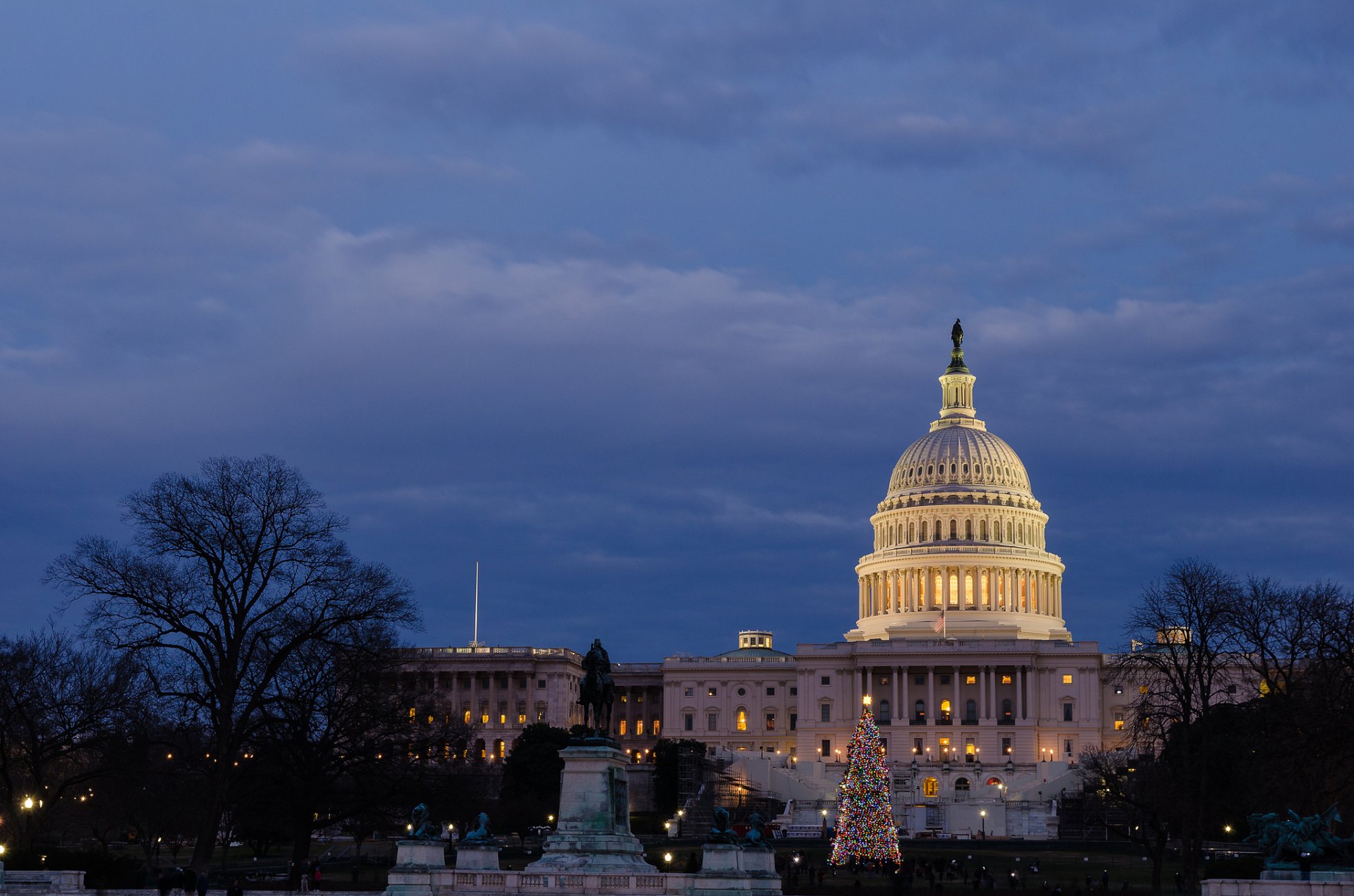 washington stati uniti campidoglio degli stati uniti sera luogo di incontro parco campidoglio alberi luce illuminazione blu cielo nuvole