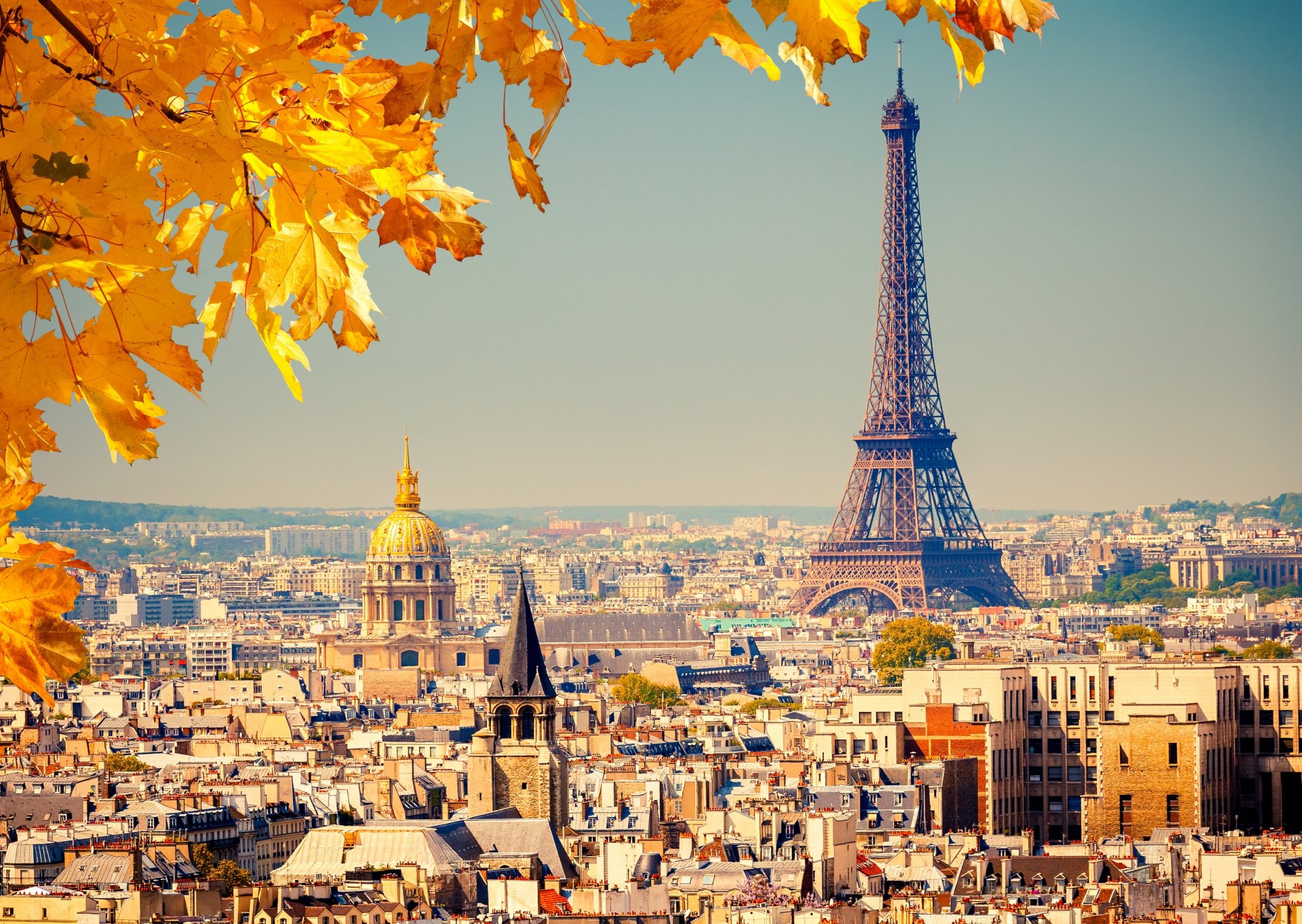 francia parís la tour eiffel torre eiffel ciudad panorama vista edificios casas cúpulas techos fondo otoño hojas amarillo