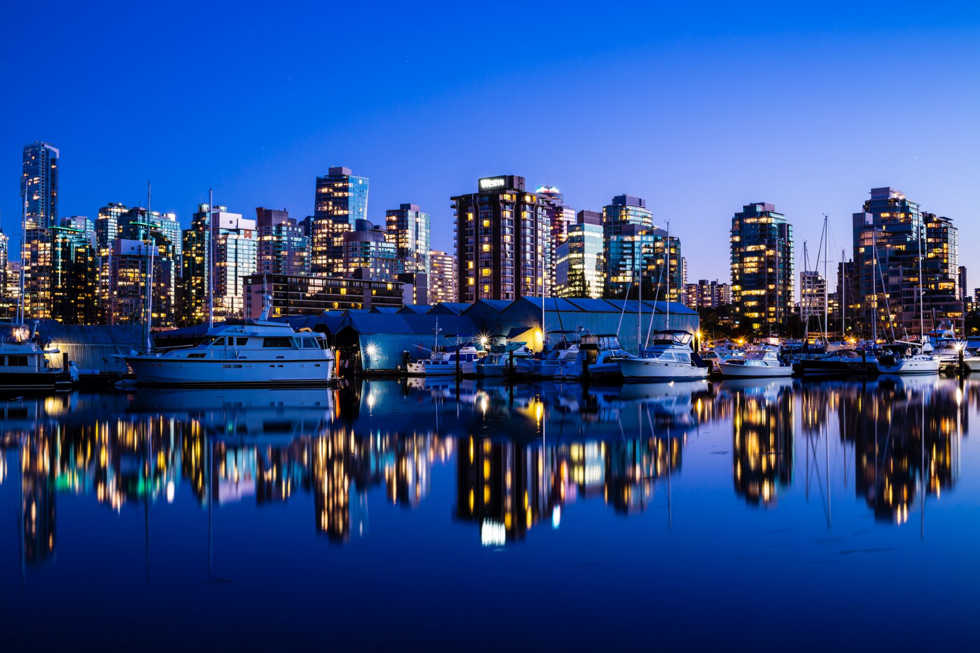 vancouver canada city night evening skyscrapers buildings ocean marina yacht