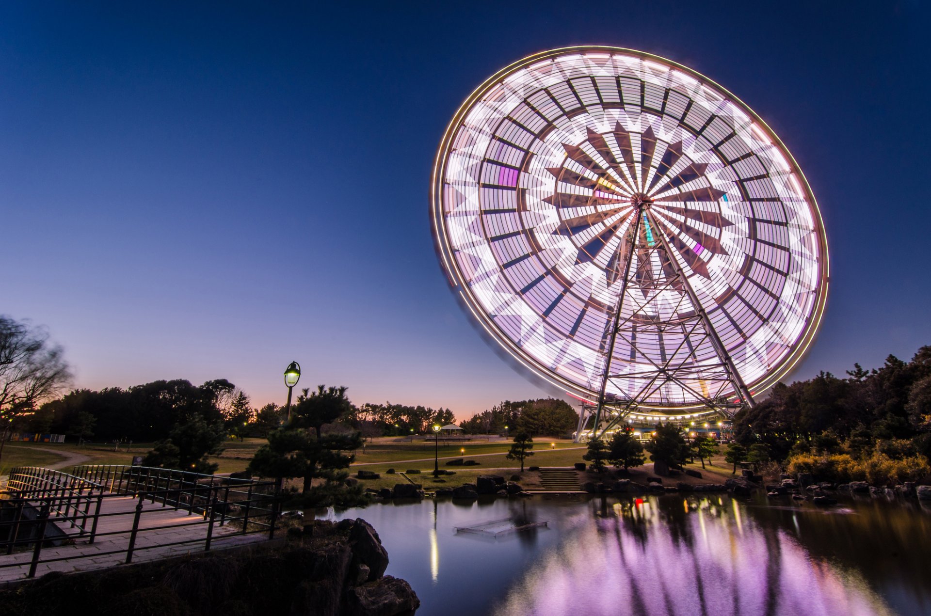 japan tokyo capital night blue sky park tree bridge lamps lighting ferris wheel pond reflection