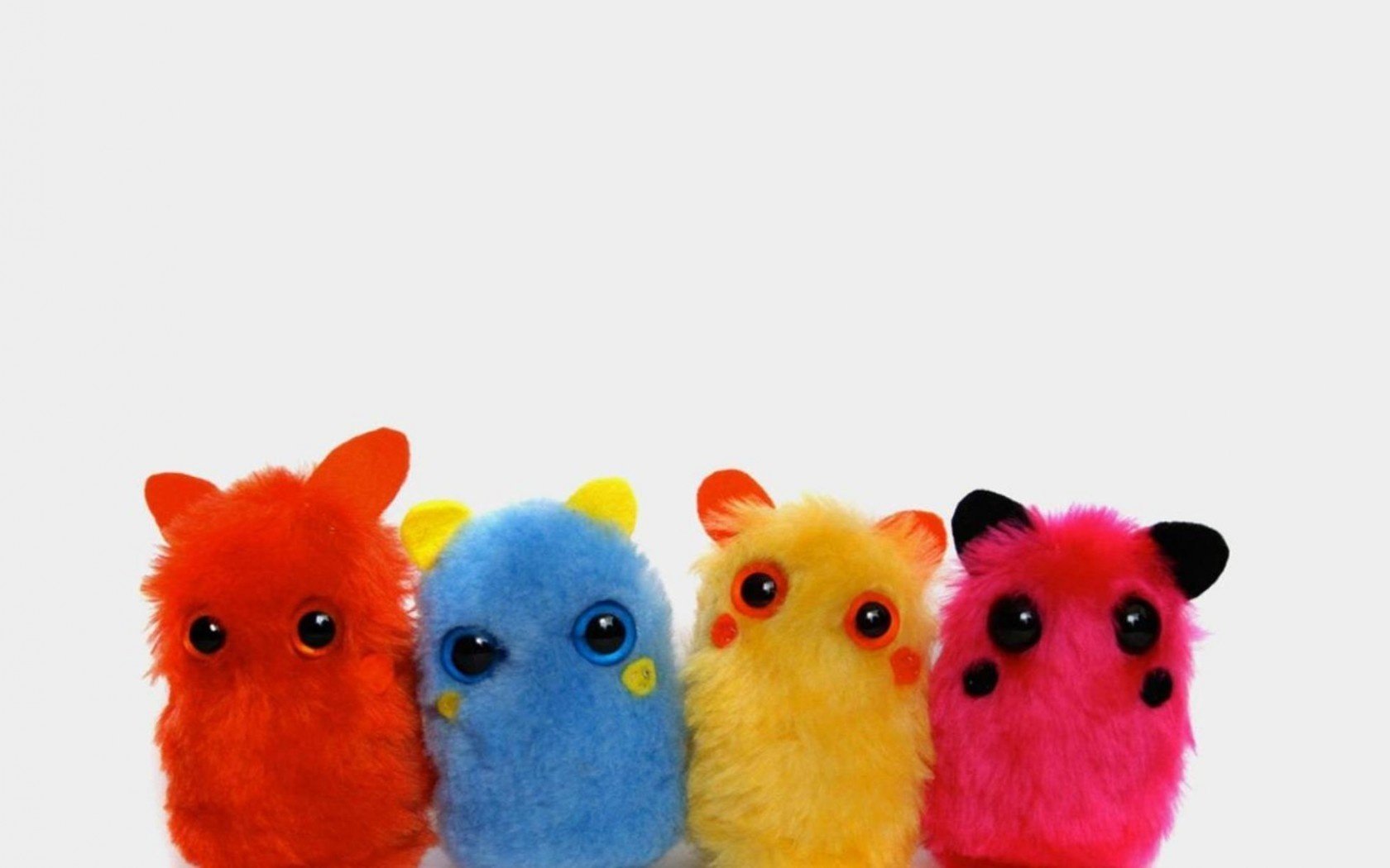 hámsters peludos de color