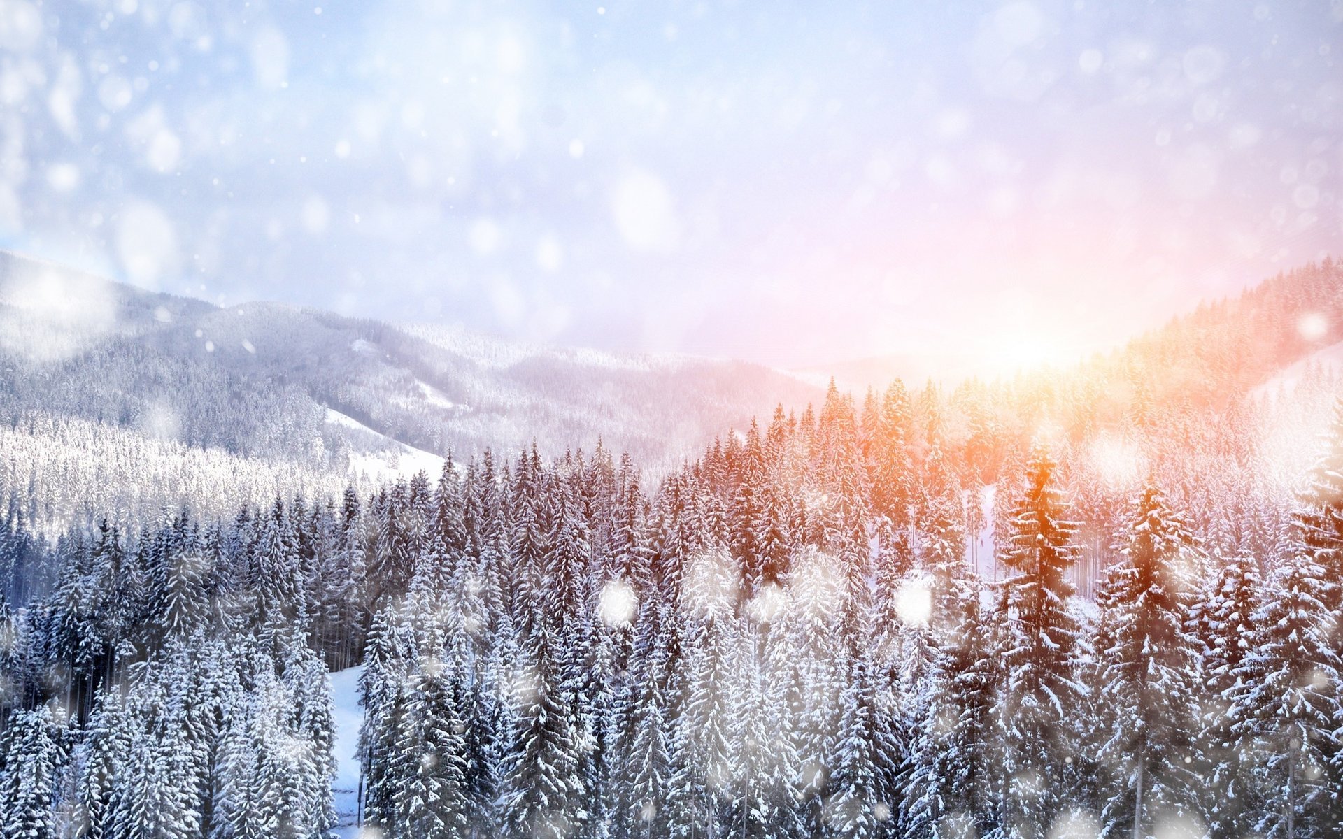 natur winter schnee landschaft bäume