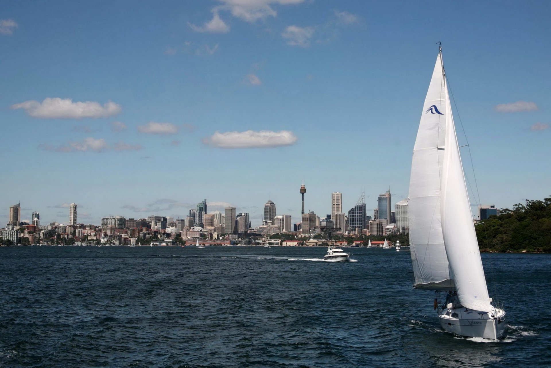 city sydney australia on shore high-rise buildings TV tower on water areas cruising boats and sailboat