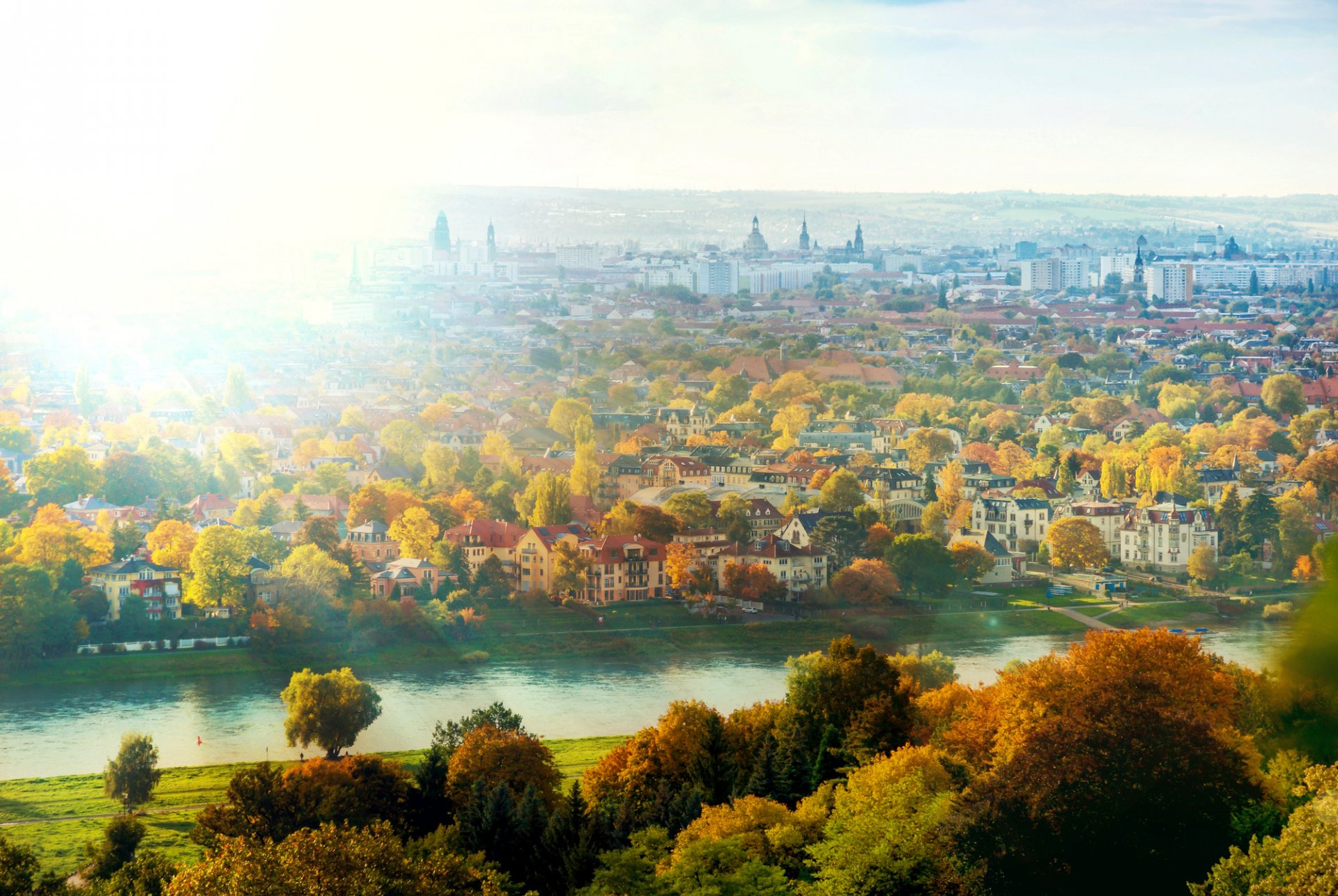 dresde allemagne elbe rivière ville soleil lumière maison arbres automne