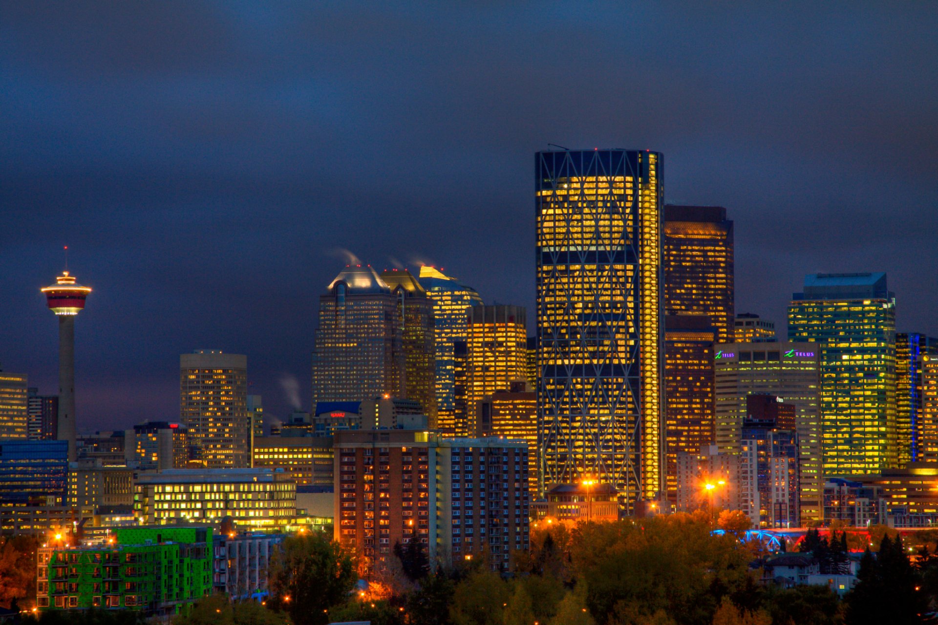 kanada calgary provinz alberta stadt gebäude wolkenkratzer turm bäume laternen lichter beleuchtung blau himmel nacht