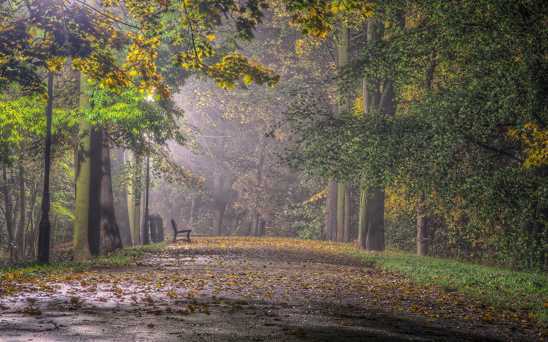 ławka park miasto