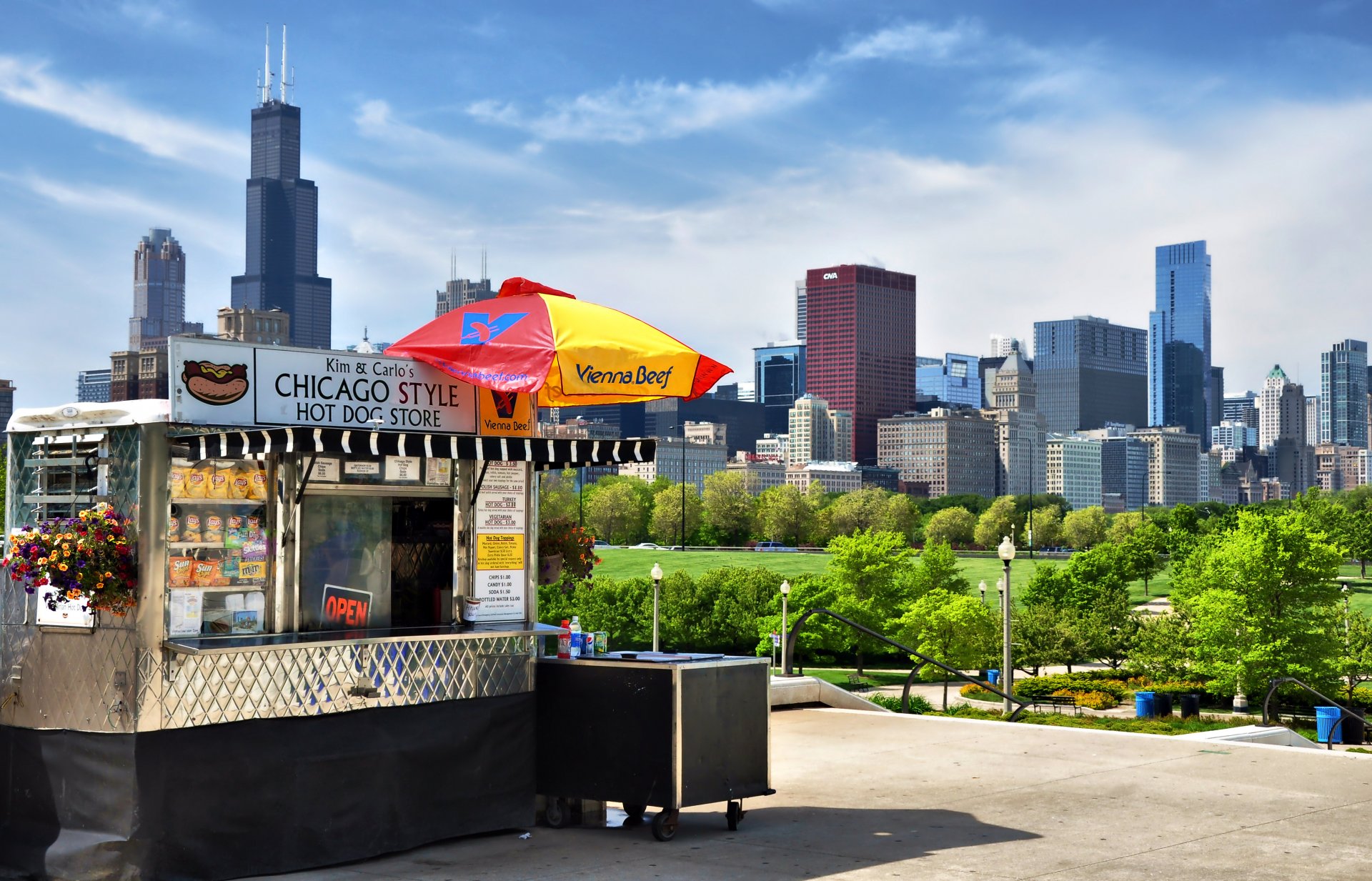 chicago estados unidos ciudad parque bistró rascacielos