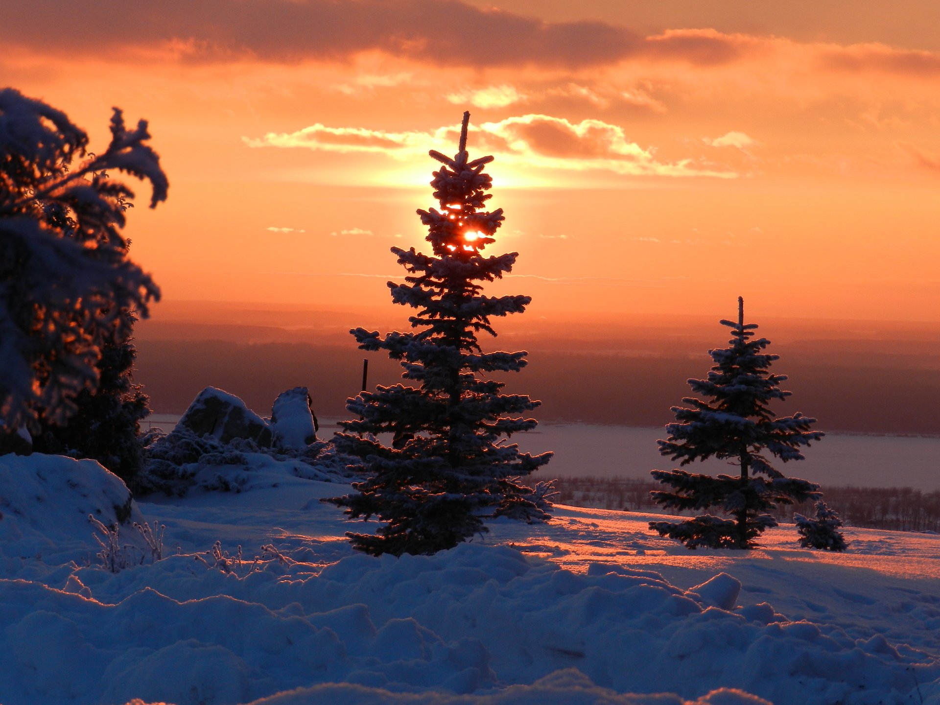hiver arbres de noël neige coucher de soleil
