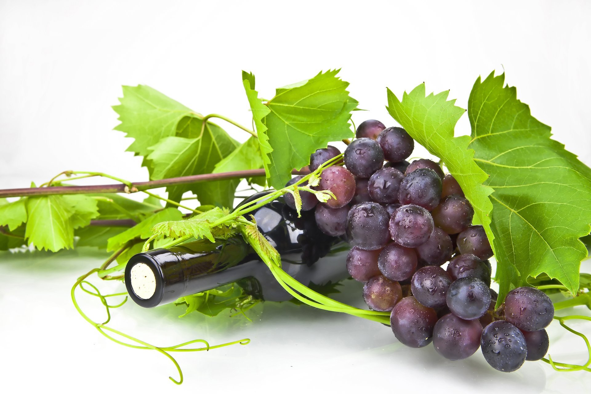 raisin bouteille vin vigne liège feuilles