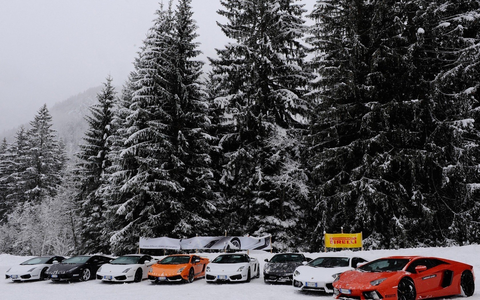 lamborghini aventador zima świerk śnieg gallardo