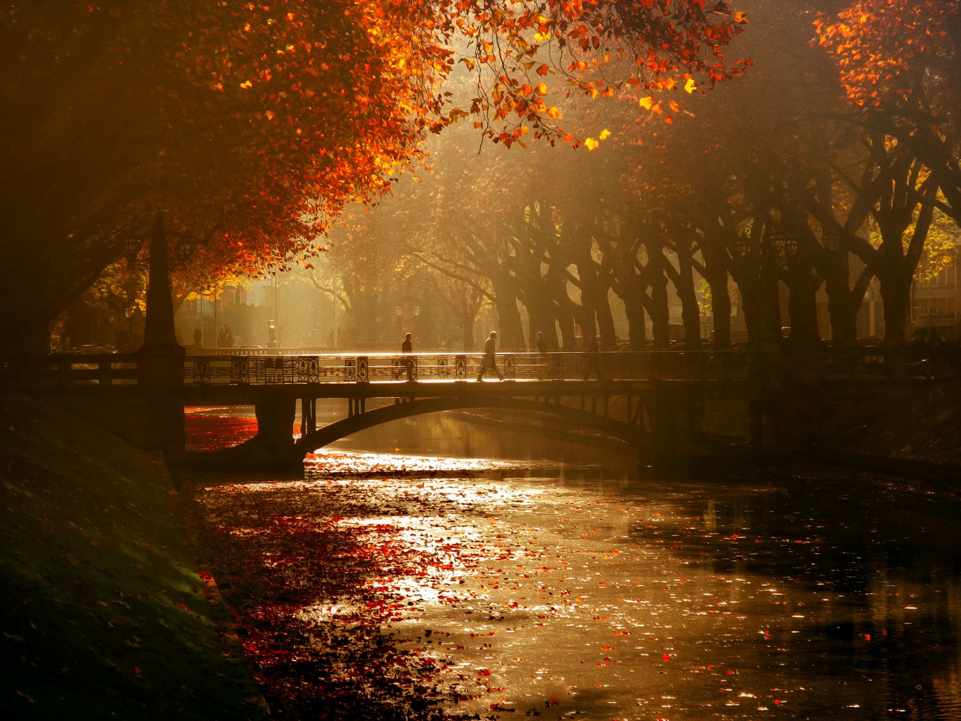 düsseldorf viale reale ponte canale alberi autunno