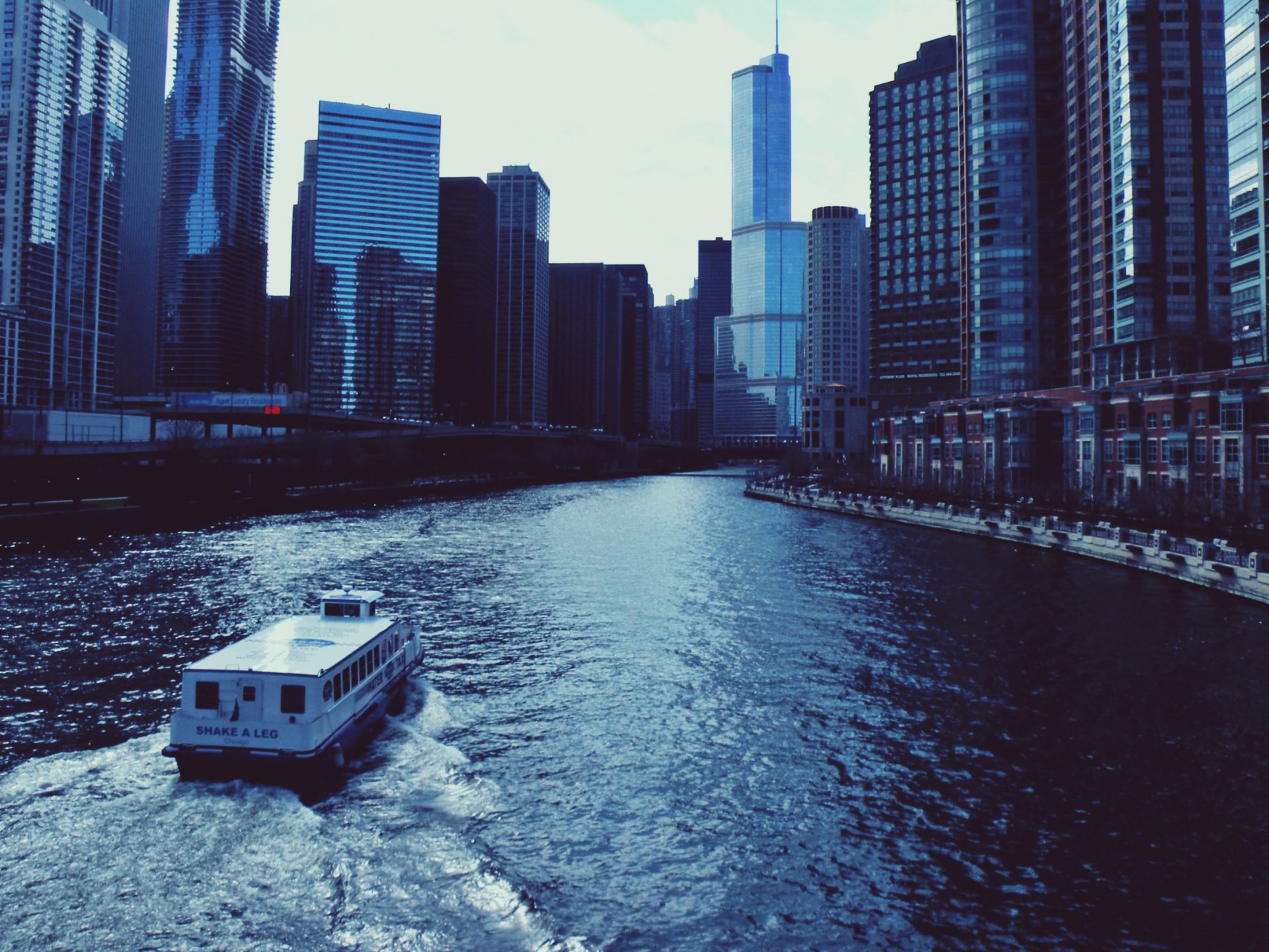 center illinois chicago usa skyscraper river boat high-rise building