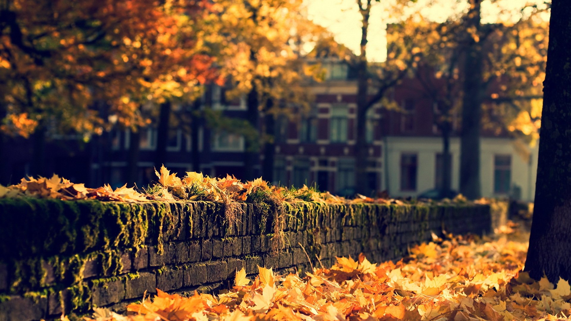 città strada autunno