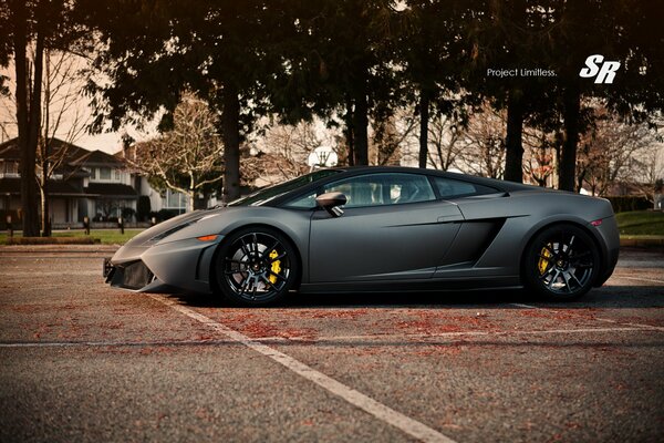 Lamborghini à faible plantation sur fond d arbres sombres