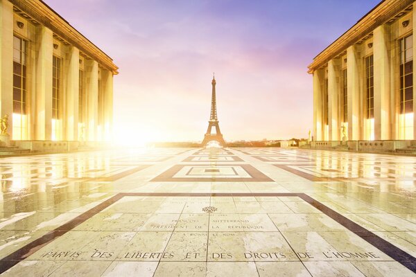 In piedi a Dali, la Torre Eiffel sullo sfondo del cielo serale e un Pavimento di piastrelle di granito