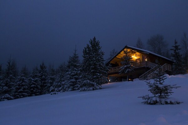 The romance of a winter evening in the forest