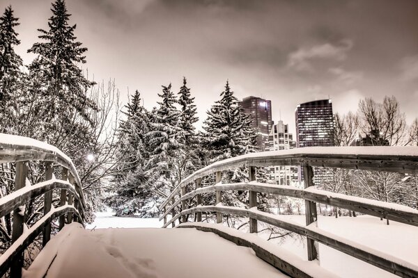 Der verschneite Park der Nachtstadt