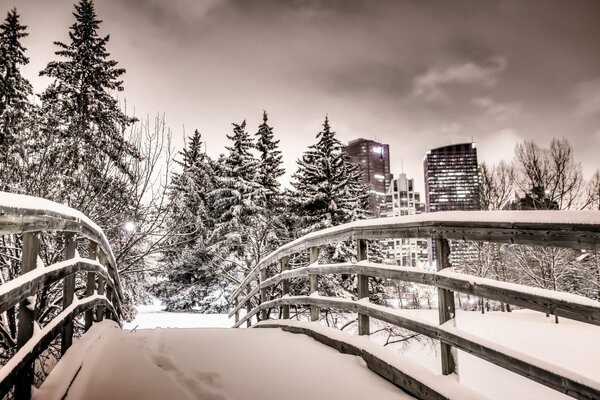 Snow-covered park of the night city