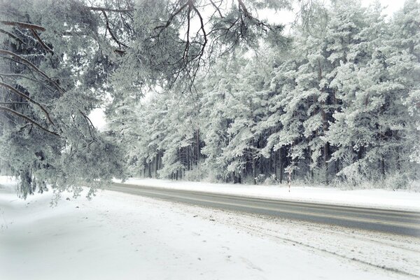 A snow-covered narrow road into the unknown