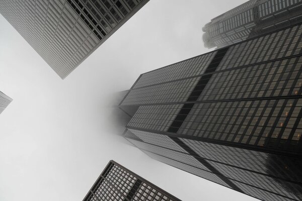 Foto en blanco y negro de rascacielos en la niebla