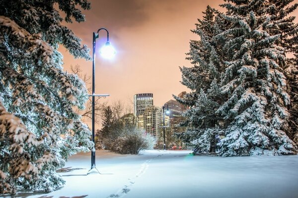 The light of a lonely lantern in a snow-covered city park