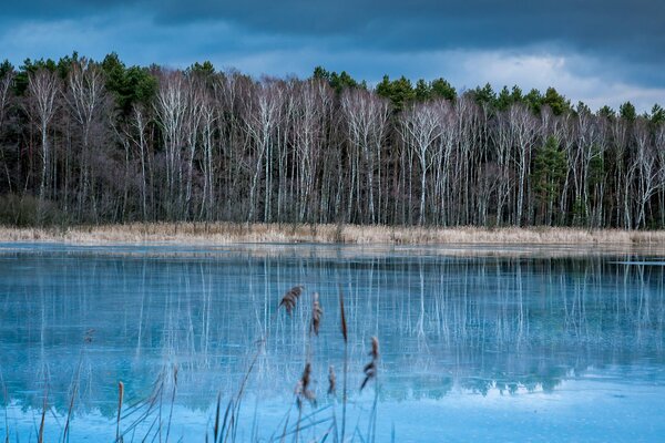 Lac près de la forêt pendant la saison froide