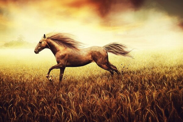 Un caballo galopando en un campo de trigo