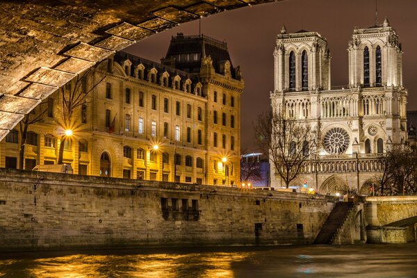 Notre Dame de Paris a Parigi la sera