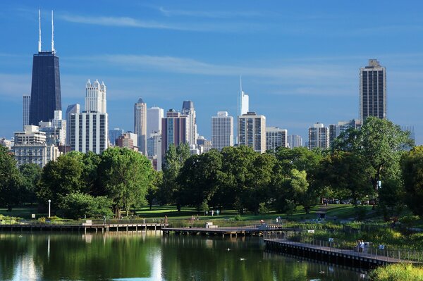 Chicago Wolkenkratzer auf dem Hintergrund von grünen Bäumen