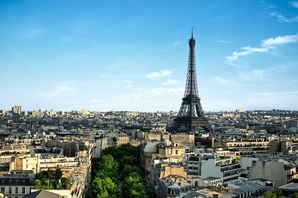 Красивая архитектура и природа Парижа
