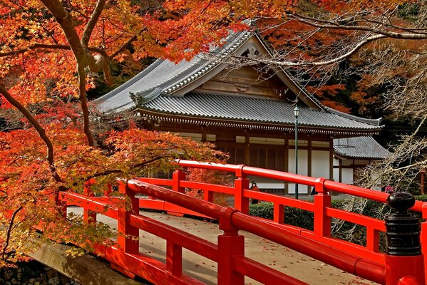 Puente de otoño en el camino al templo