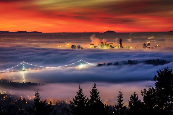 Ciudad en el valle en la niebla luces de la noche