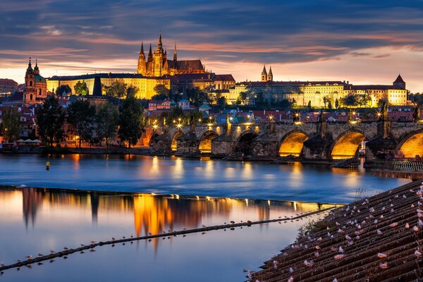 Czech Republic city reflection evening lights water