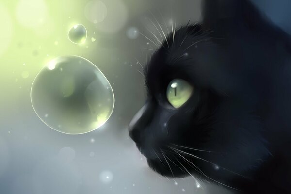 The black cat looks at the bubbles. Drawing
