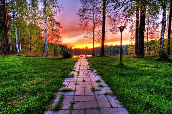 Paseo por el parque hasta el lago al atardecer