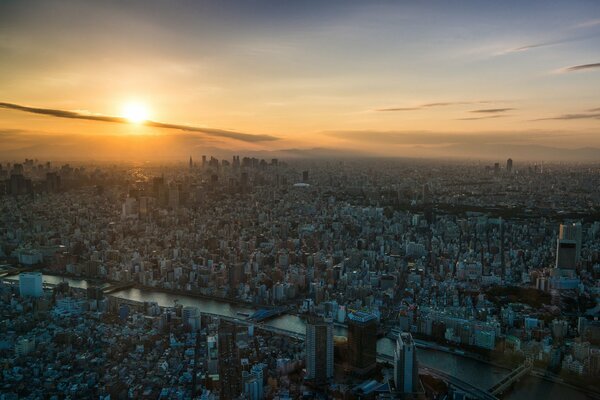 View of the city of Tokyo at dawn