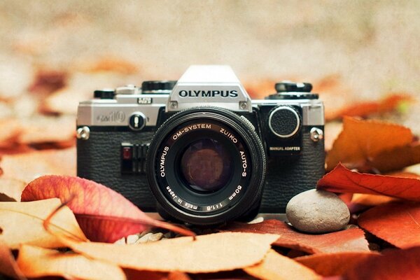 The Olympus camera is designed for macro photography