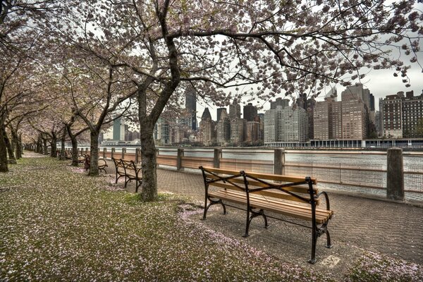 Spring Quay nella città di New York