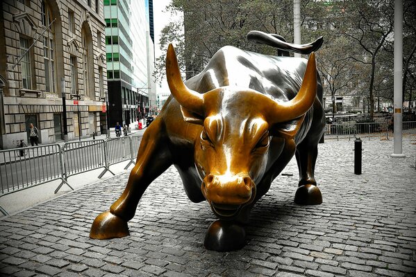 Arif Mahmoud 3200 kilogram bronze statue of the charging bull in New York in Manhattan on Wall Street