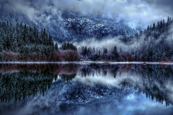 Riflesso della favolosa foresta innevata in montagna