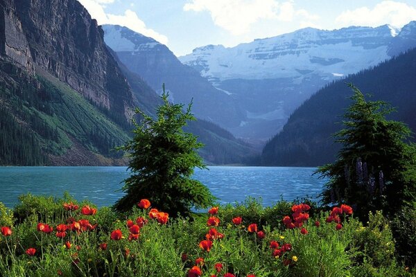 Un lago de montaña extraordinariamente hermoso