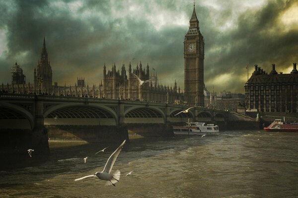 Mouettes sur la Tamise brumeuse à Londres