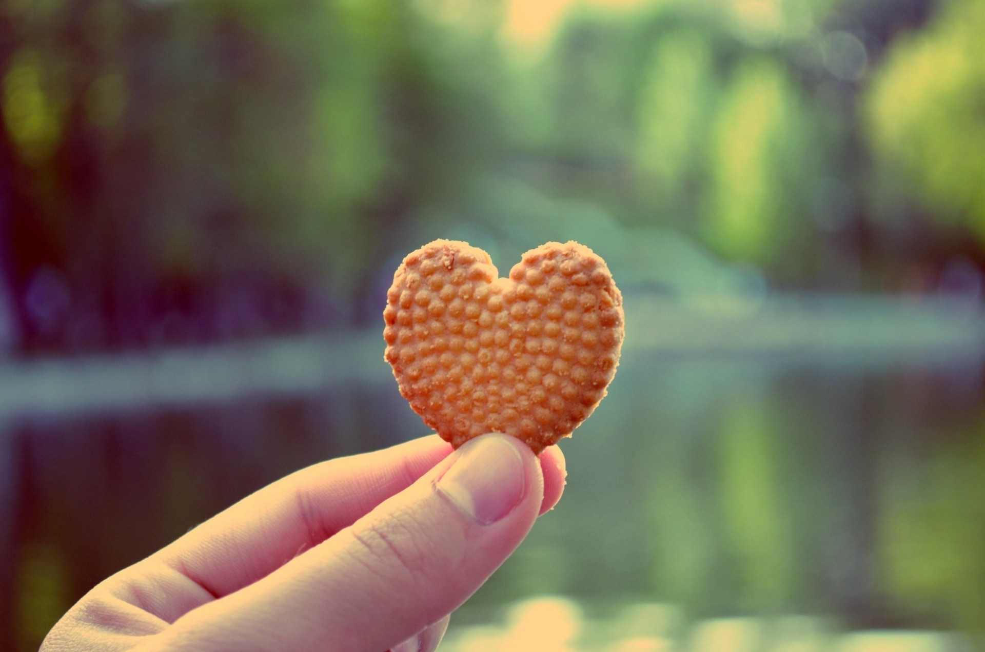 heart cookies cake cookie