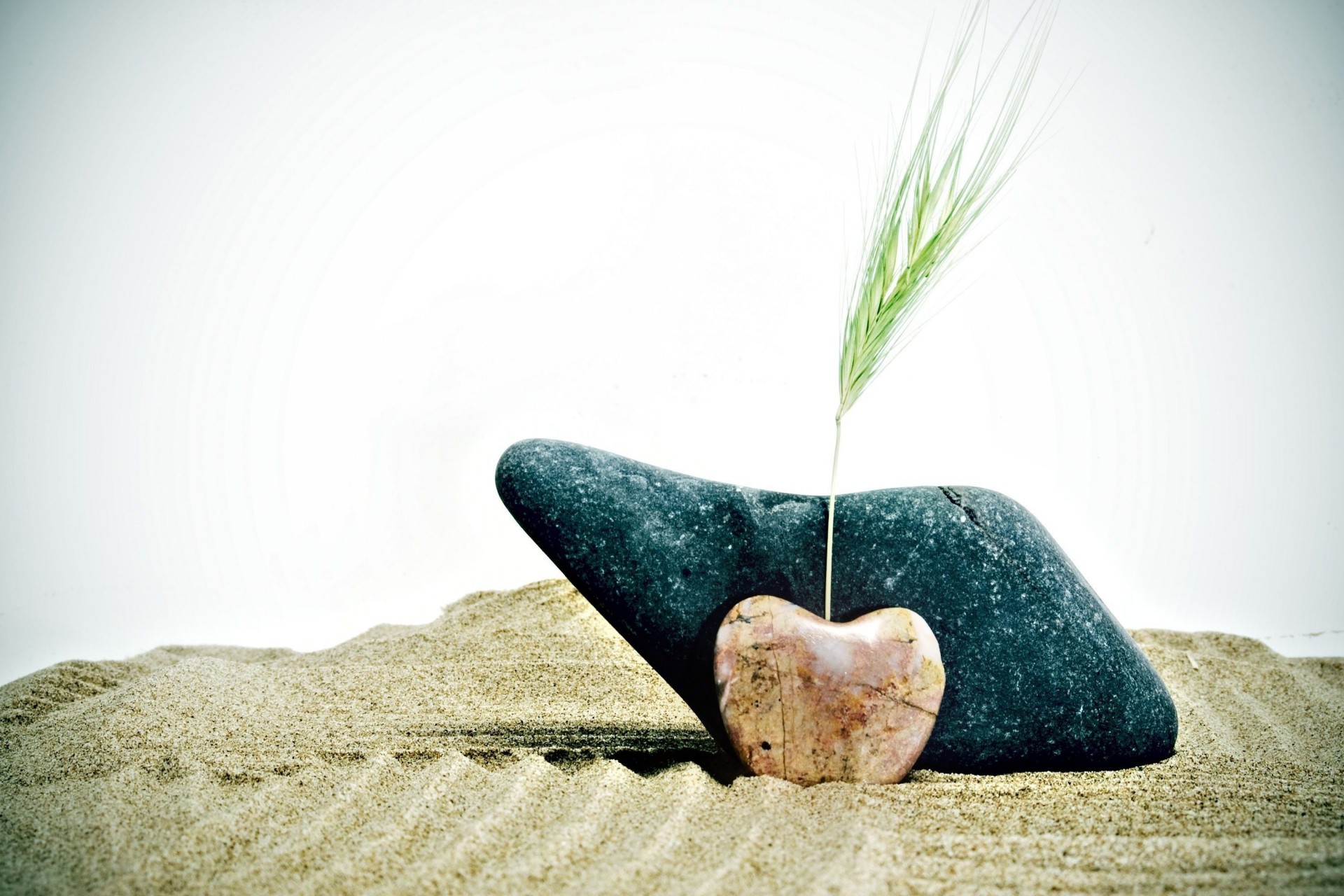 piedras centeno arena forma corazón trigo fondo de pantalla fondo estado de ánimo espigas planta espiga