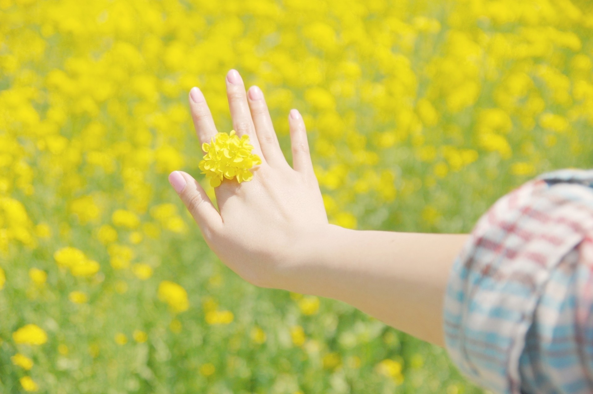 yellow flower car spring hand