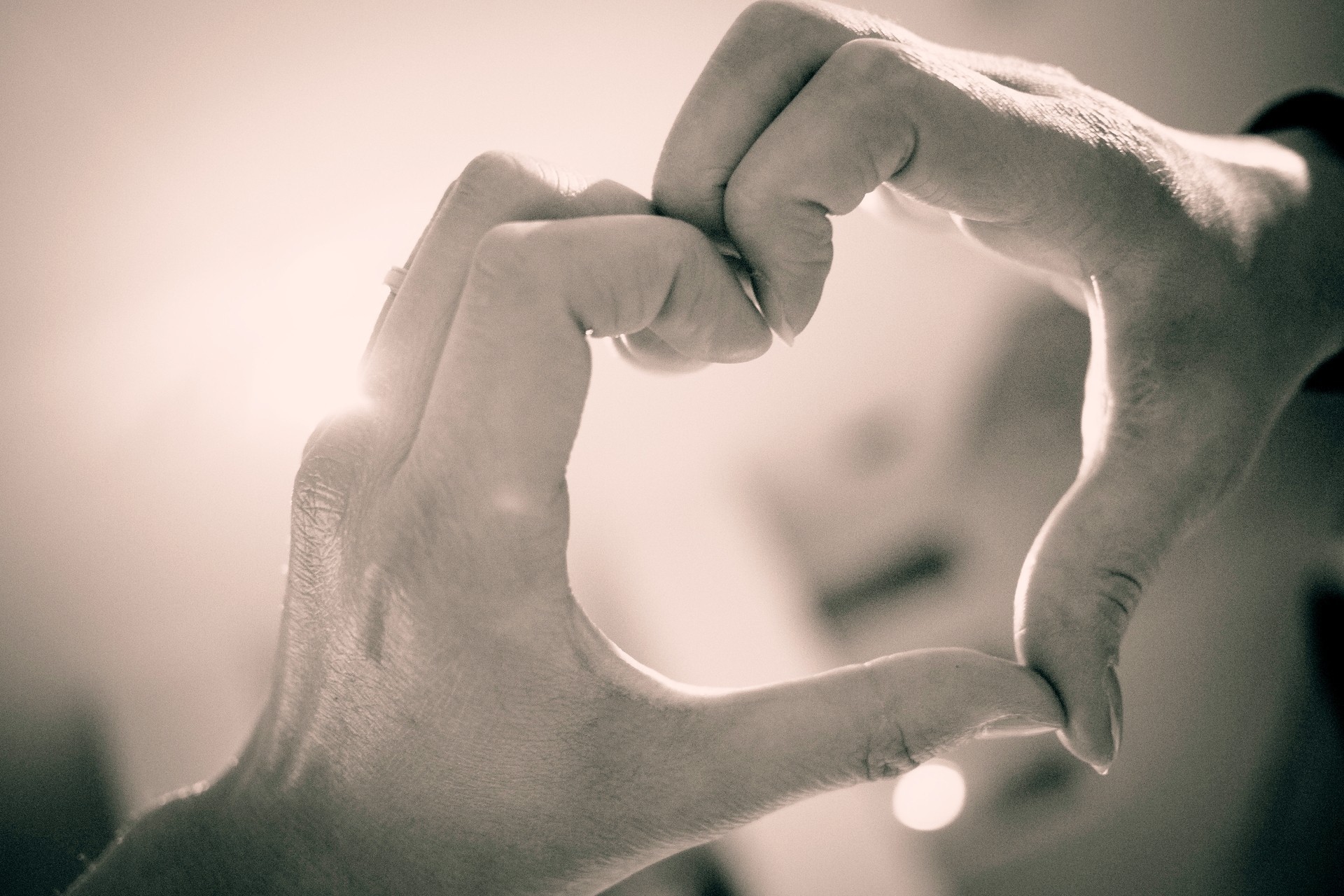 heart hand love valentine s day