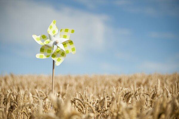 Turntable with green and white squares on a wheat field